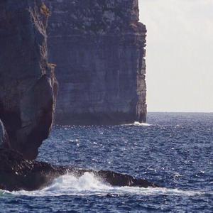 欧美激情舔逼另类
